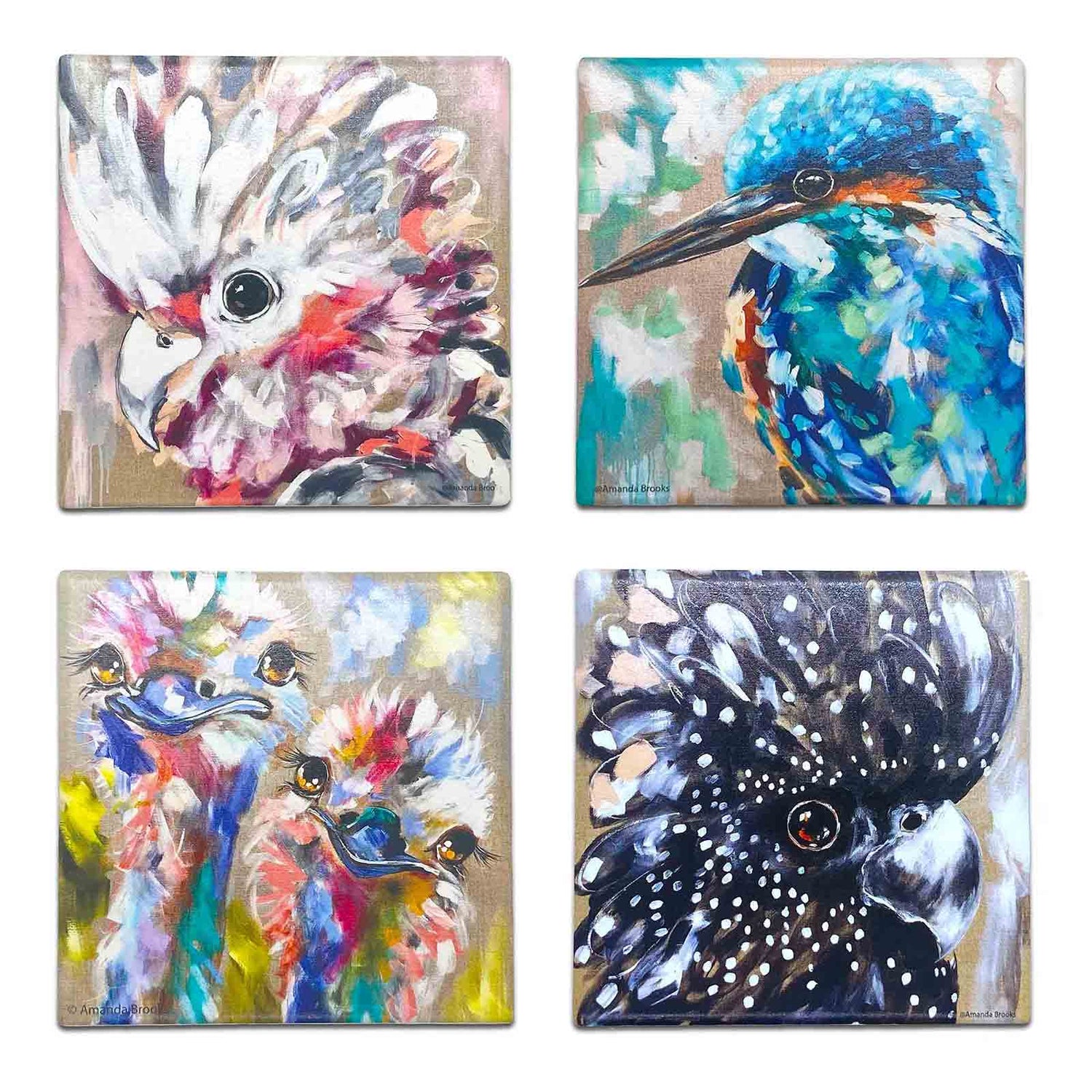 Amanda Brooks Set of 4 Souvenir Gift Australian Birds Dolomite Stone Absorbent Coasters