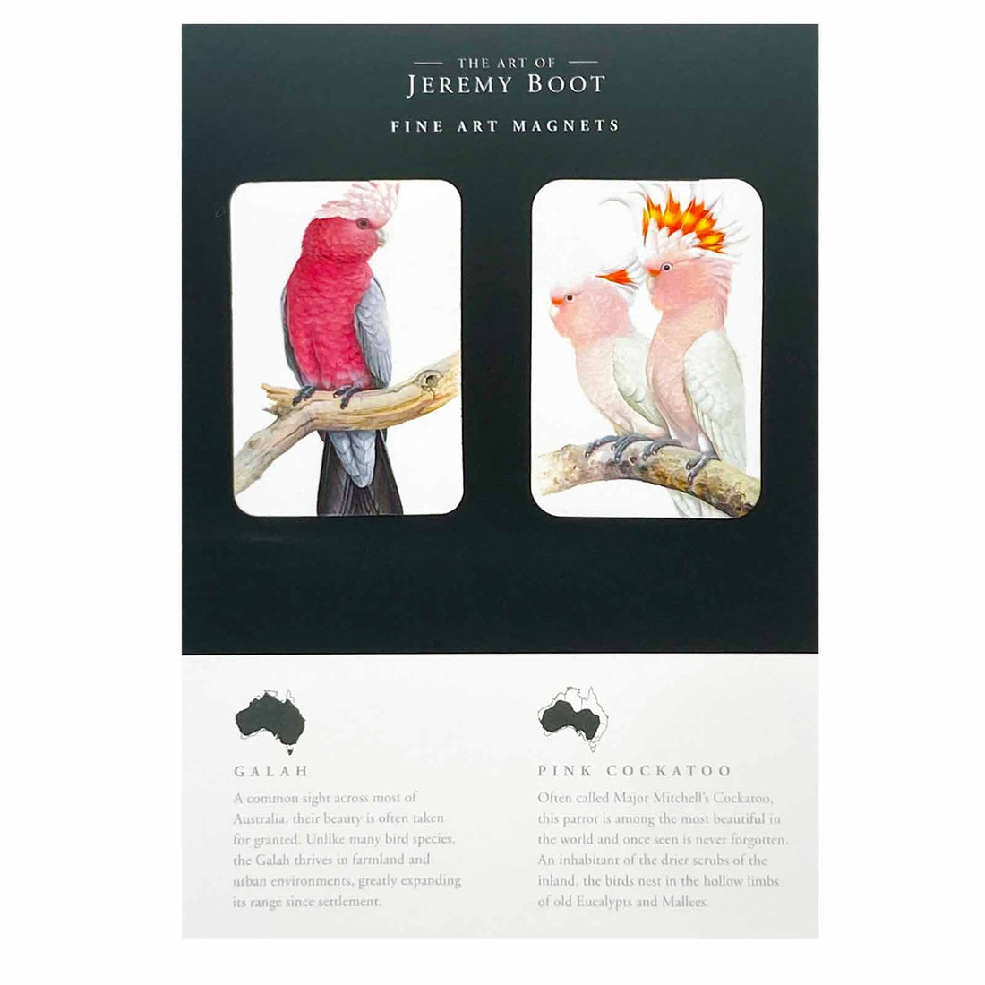 Jeremy Boot Fine Art Magnets - Galah and Pink Cockatoo