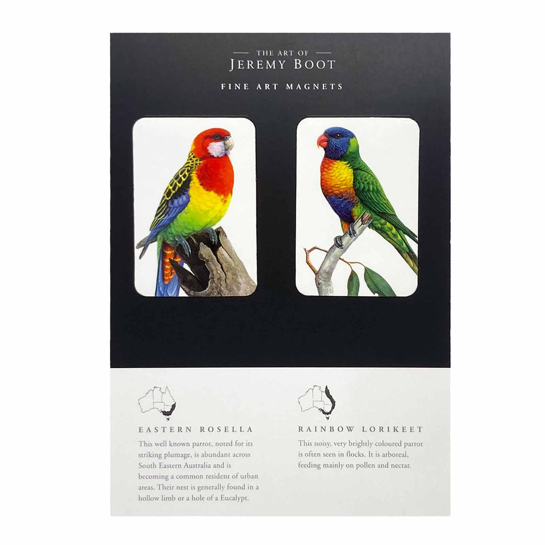 Jeremy Boot Fine Art Magnets - Eastern Rosella and Rainbow Lorikeet