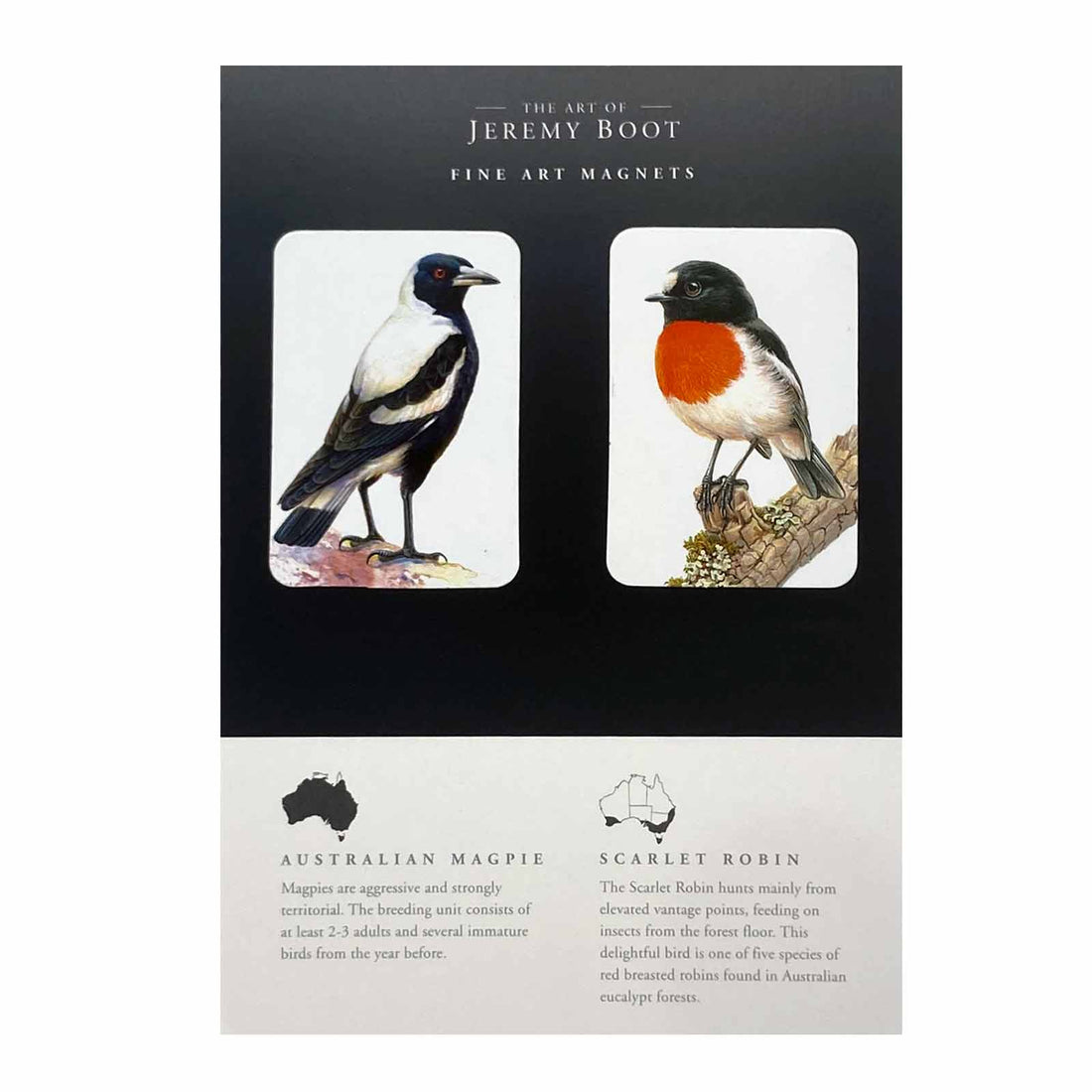 Jeremy Boot Magnet Pairs - Australian Magpie and Scarlet Robin